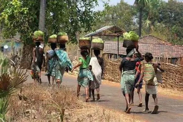 भतरी जाती लोक मन काजे पारतना करा 